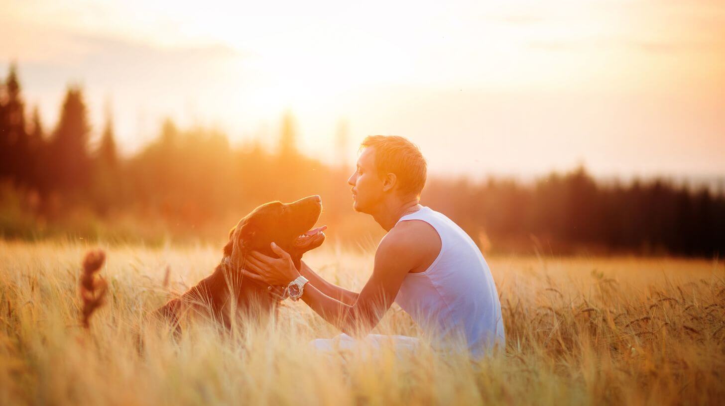 dogs outside with owner